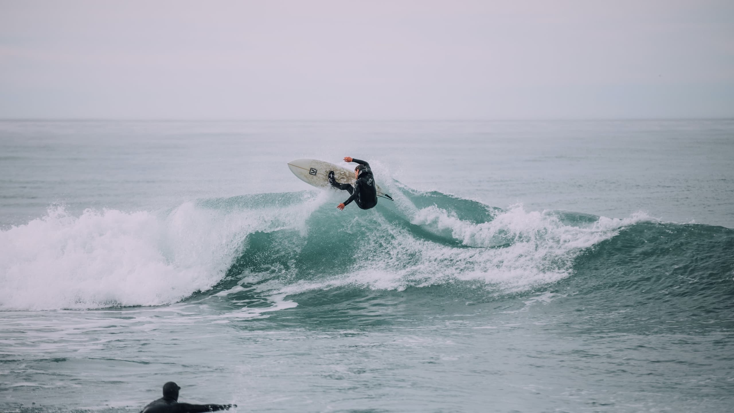Surfer on wave in New Zealand