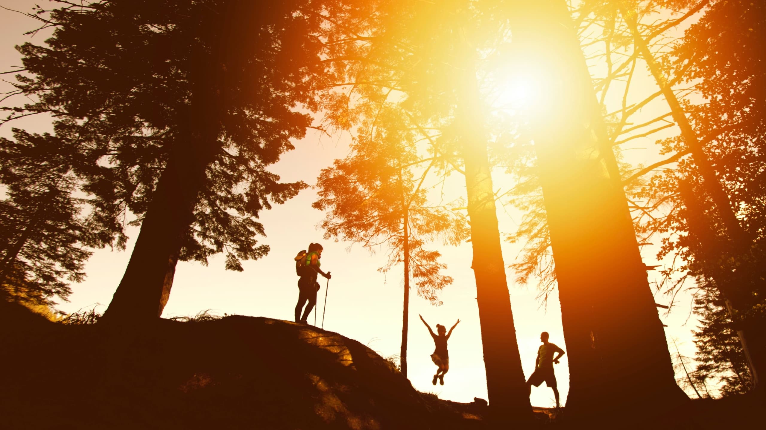 Family hiking at sunset