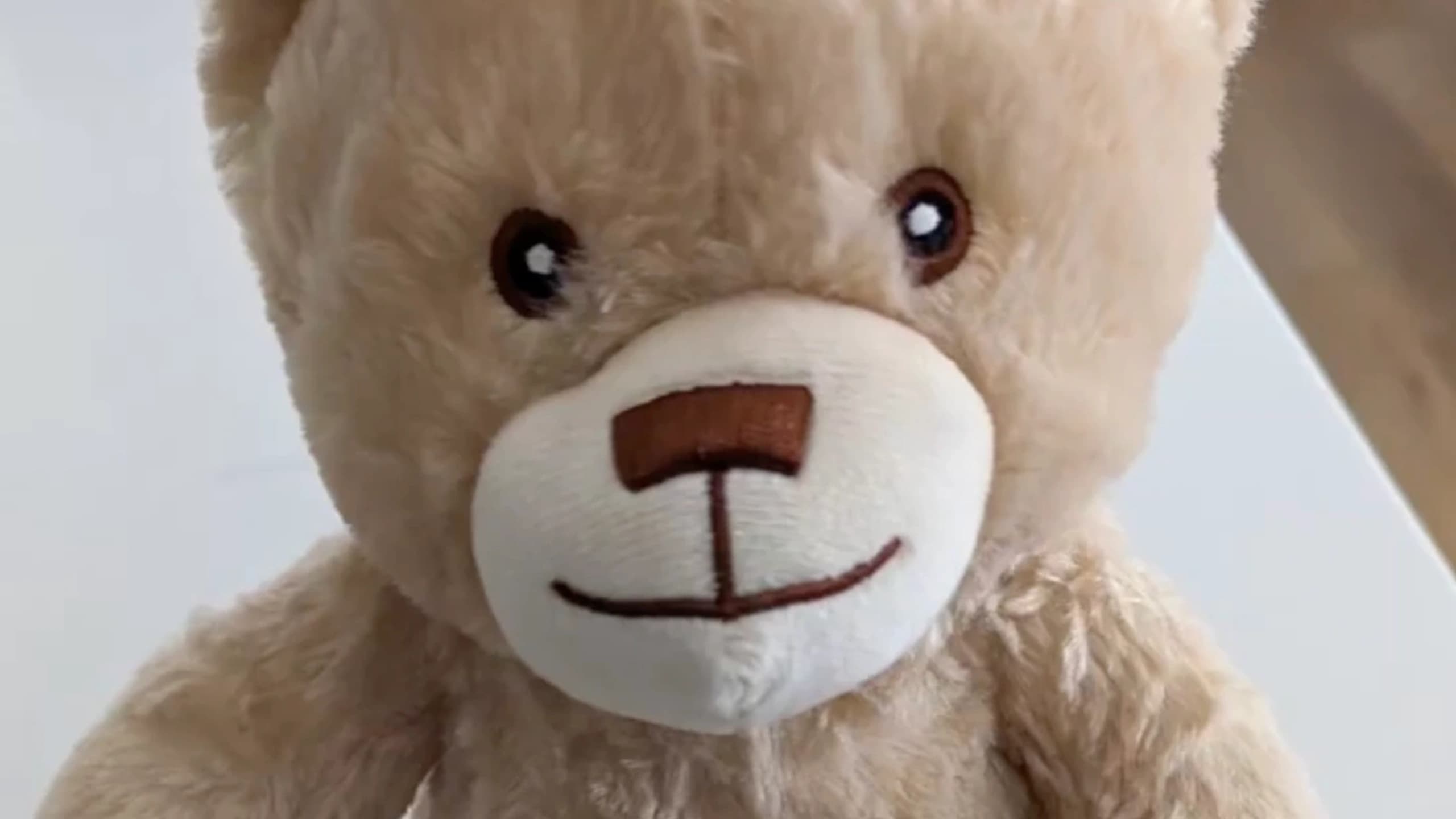 Bored Teddy Bear