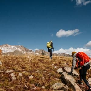 Couple hiking with dog